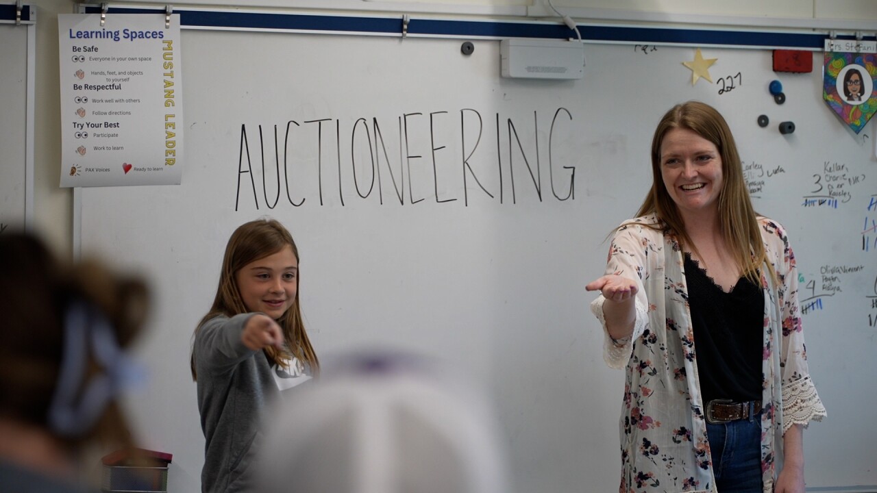 auction Auctioneering at Agriculture Day